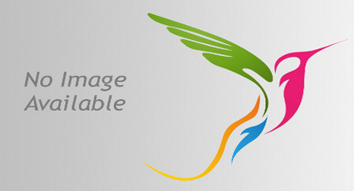 Keyifli ve Guvenli Bir Bahis Deneyimi Icin 1 x Bet