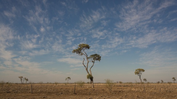 Australia’s winter likely to be drier and milder than usual as El Nino kicks in