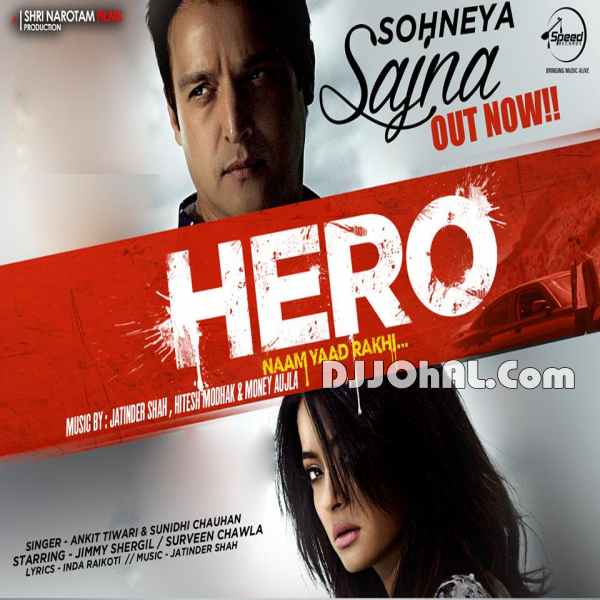 Punjabi Movie ‘Hero Naam Yaad Rakhi’ Review