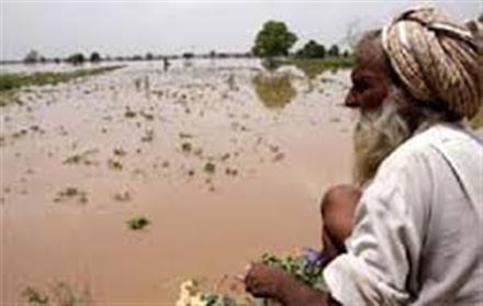 Punjab villages flooded, alert sounded after more water released from Bhakra Dam