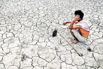 Chhattisgarh govt. to release Rs. 134.60 cr for drought-hit farmers