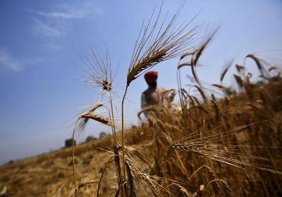 Debt-ridden farmer in Aurangabad commits suicide