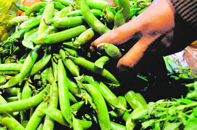 Now, seed mixture ruins pea crop in state