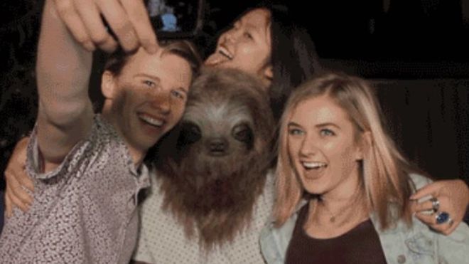 ‘Stoner sloth’: Australia anti-marijuana campaign criticised