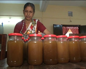 Tripura fast emerging as honey-producing state
