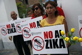 Brazil detects active Zika Virus in human urine, saliva