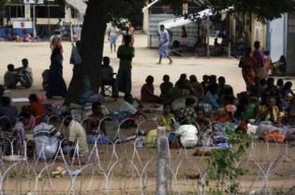 Swiss authorities receive 146 applications from asylum seekers from Lanka