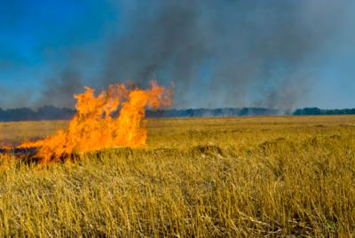 PSPCL taken cognizance of crop fire incidents