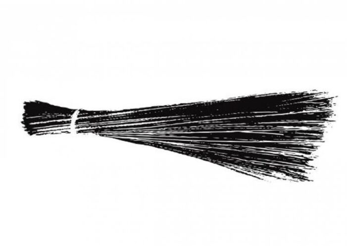 AAP’s “Broom” is shown as election symbol for Independent Candidates in Jalandhar