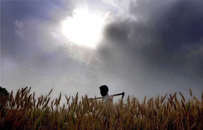 Farm debt waiver: Govt to pick former IAS officers for panel