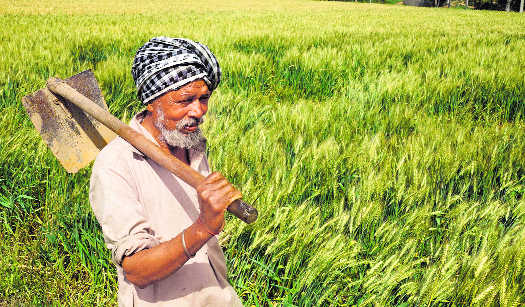 Farm loan waiver: Panel to identify beneficiaries