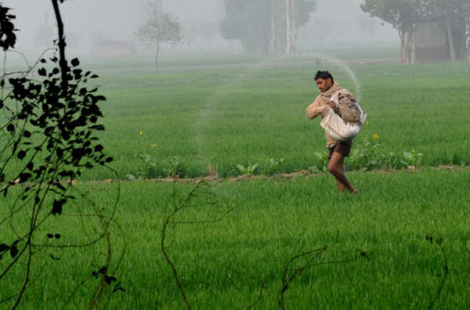 Probe Rs 17k cr excess crop loans: Punjab