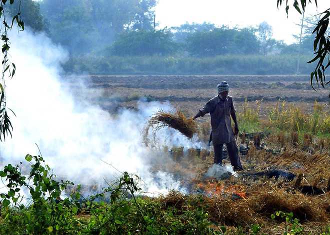 Rs 484 cr can help douse stubble fire