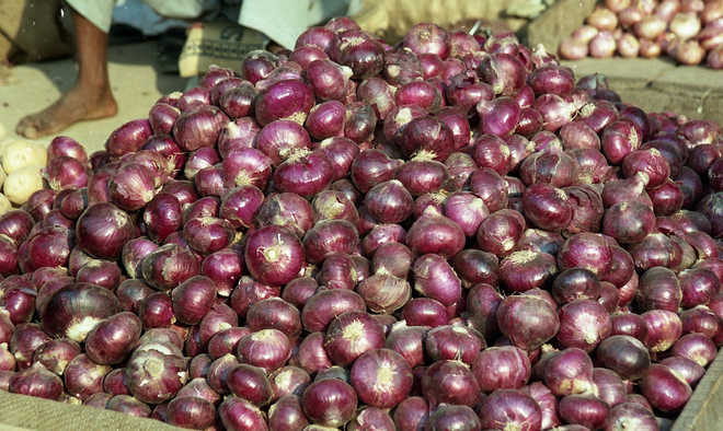 Onion trade grinds to a halt after income tax raids on traders