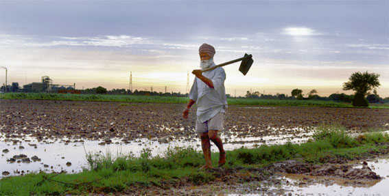 Punjab Cabinet clears crop loan waiver scheme