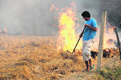 Stubble-burning only option, say waterlogging-hit farmers