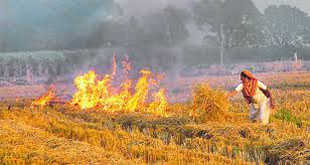Amid dumping fears, alarm bells in Punjab