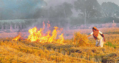 Can’t punish farmers if husk burnt, SC told