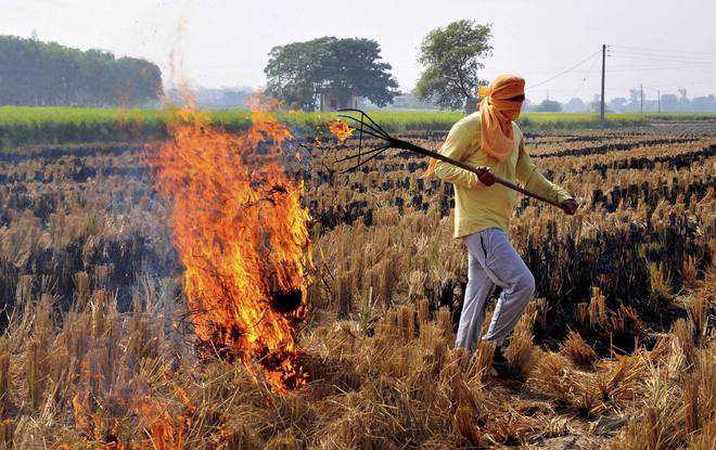 Stubble-burning: NGT notice to Centre over aid to state