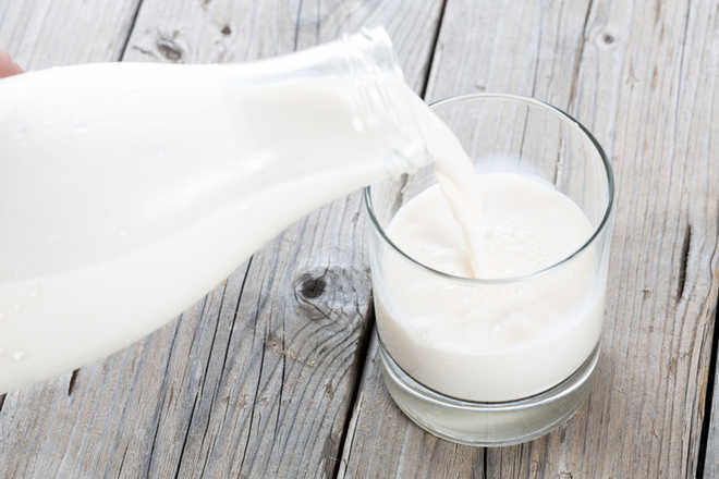 Maharashtra plastic ban stuck over packaging of milk