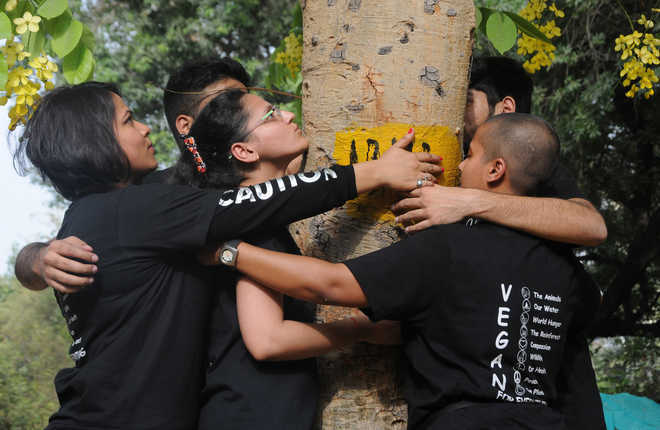 High Court stays felling of 16,500 trees in south Delhi till July 4