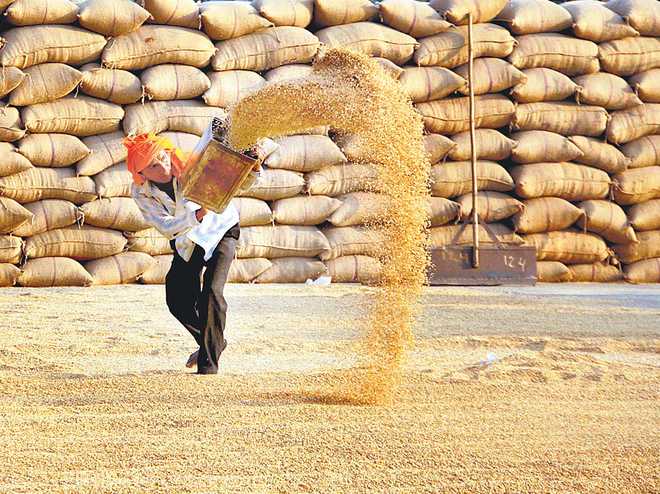 Rs 1-cr paddy scam surfaces in Moga
