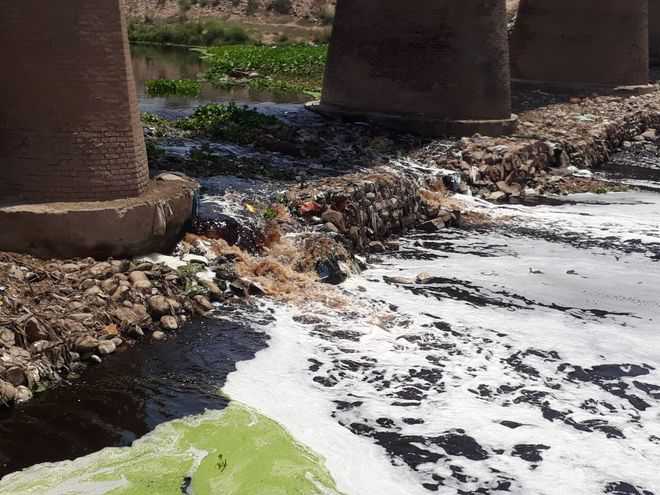 Villagers at receiving end of toxic Ghaggar