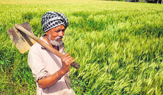 Karnataka waives Rs 34,000 cr farm loans