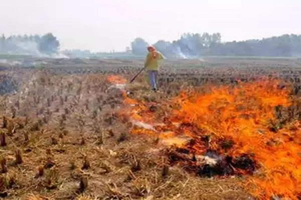 ਪੰਜਾਬ ‘ਚ 6 ਜ਼ਿਲ੍ਹਿਆਂ ਦਾ AQI ਵਧਿਆ
