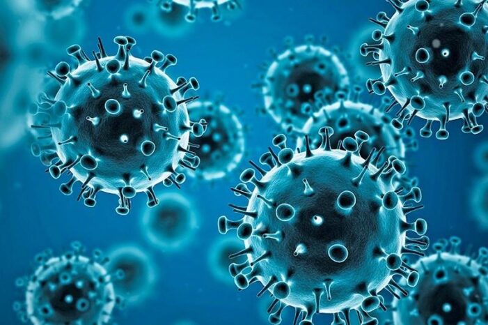 NOVEL CORONAVIRUS (COVID-19) UPDATE