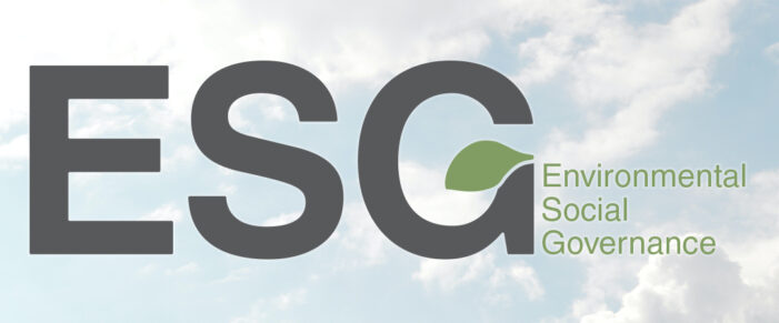 Environmental, social and governance expert to lead government review