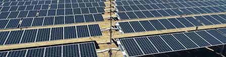 City of Parramatta to go carbon neutral with landmark agreement