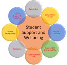 Wellbeing support to ensure student success