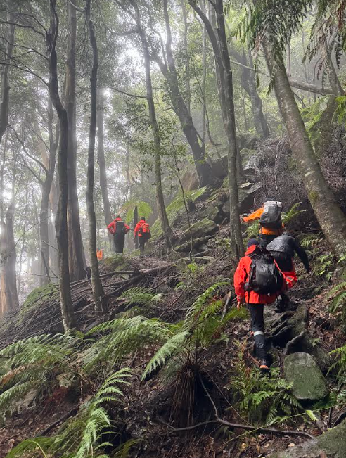 NSW SES CREWS ASSIST IN SUCCESSFUL SEARCH FOR MISSING BUSHWALKER IN BLUE MOUNTAINS