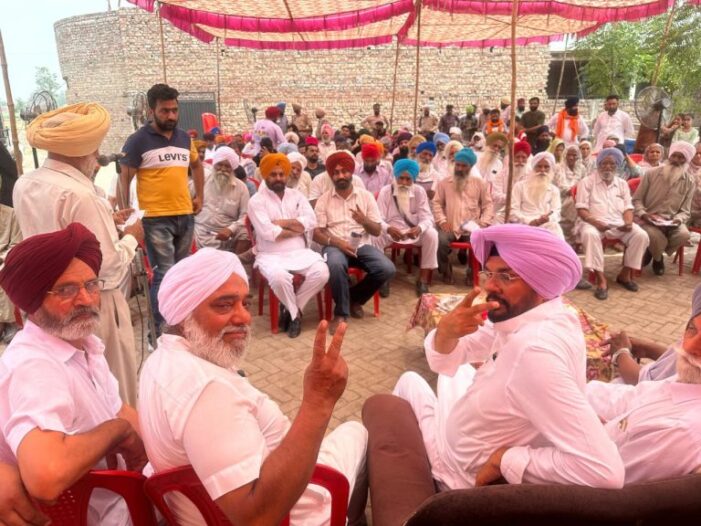 ਭਾਜਪਾ ਰੈਲੀਆਂ ’ਚ ਦਿਹਾੜੀ ’ਤੇ ਬੰਦੇ ਲਿਆ ਰਹੀ ਹੈ: ਧਾਲੀਵਾਲ
