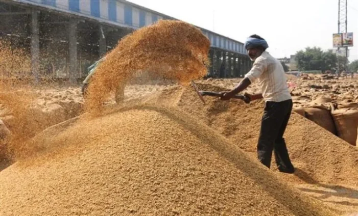 ਕੇਂਦਰ ਨੇ ਪੰਜਾਬ ’ਚ 27,995 ਕਰੋੜ ਰੁਪਏ ਦਾ ਝੋਨਾ ਖਰੀਦਿਆ