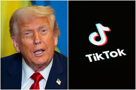 Trump signs TikTok executive order, creates new $14 billion entity
