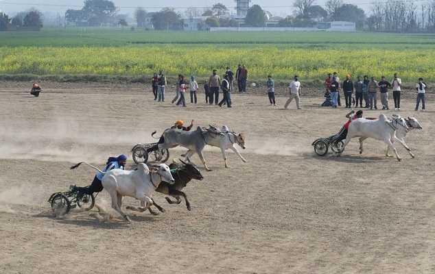 12 ਸਾਲਾਂ ਦੇ ਵਕਫੇ ਬਾਅਦ ਬੈਲ ਗੱਡੀਆਂ ਦੀਆਂ ਦੌੜਾਂ ਸ਼ੁਰੂ 12 ਸਾਲਾਂ ਦੇ ਵਕਫੇ ਬਾਅਦ ਬੈਲ ਗੱਡੀਆਂ ਦੀਆਂ ਦੌੜਾਂ ਸ਼ੁਰੂ